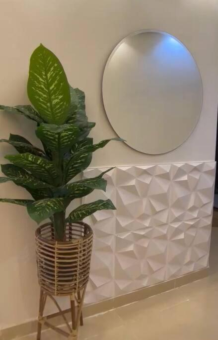 New Furnished Apartment