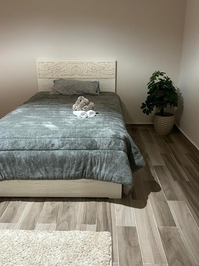 Apartment New Furnished Cairo